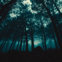 R&eacute;sidence "Une histoire vraie" 2